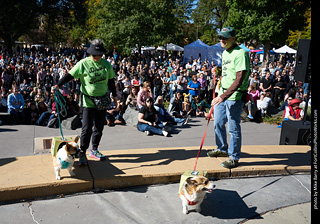 Tour de Corgi 2023