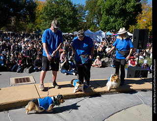 Tour de Corgi 2023