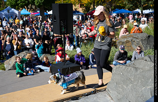 Tour de Corgi 2023