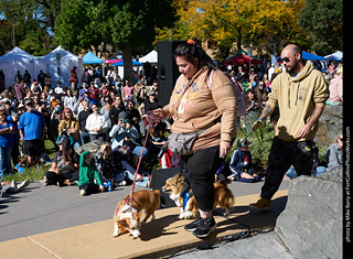 Tour de Corgi 2023