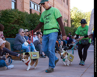 Tour de Corgi 2023