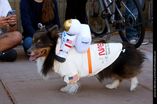 Tour de Corgi 2023