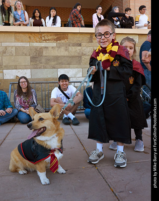 Tour de Corgi 2023