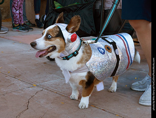 Tour de Corgi 2023