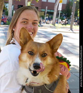 Tour de Corgi 2023