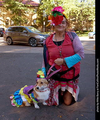 Tour de Corgi 2023