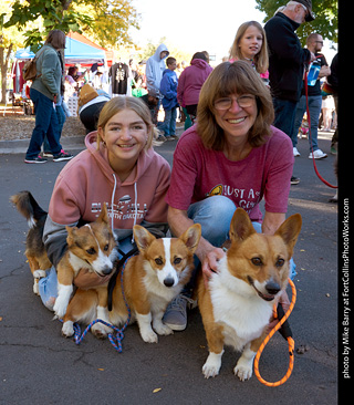 Tour de Corgi 2023