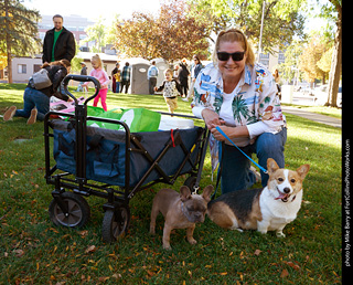 Tour de Corgi 2023