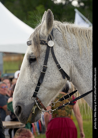 Colorado Medieval Festival - Knights of Mayhem