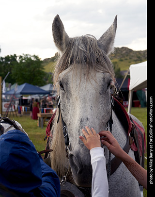 Colorado Medieval Festival - Knights of Mayhem