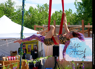 Colorado Medieval Festival - Olita Aerial