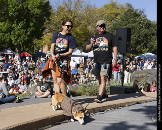 2024 Tour de Corgi - contest