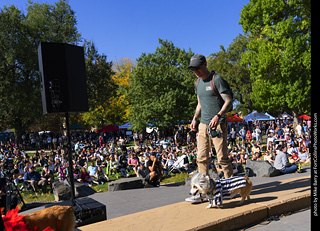 2024 Tour de Corgi - contest