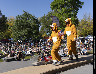 2024 Tour de Corgi - contest