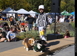 2024 Tour de Corgi - contest