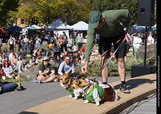 2024 Tour de Corgi - contest