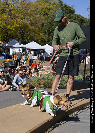 2024 Tour de Corgi - contest