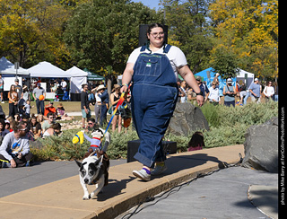 2024 Tour de Corgi - contest