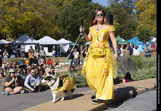 2024 Tour de Corgi - contest