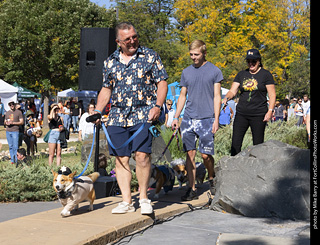 2024 Tour de Corgi - contest