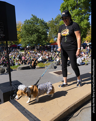 2024 Tour de Corgi - contest