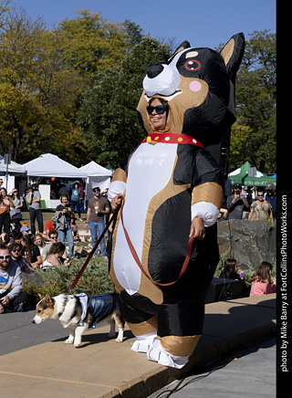 2024 Tour de Corgi - contest