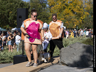 2024 Tour de Corgi - contest