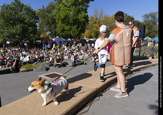 2024 Tour de Corgi - contest