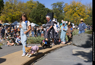 2024 Tour de Corgi - contest