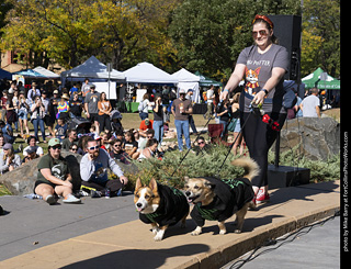 2024 Tour de Corgi - contest