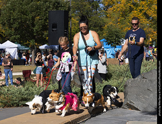 2024 Tour de Corgi - contest