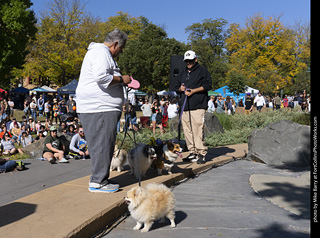 2024 Tour de Corgi - contest