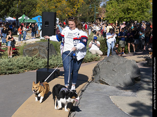 2024 Tour de Corgi - contest