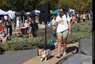 2024 Tour de Corgi - contest