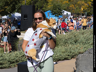 2024 Tour de Corgi - contest