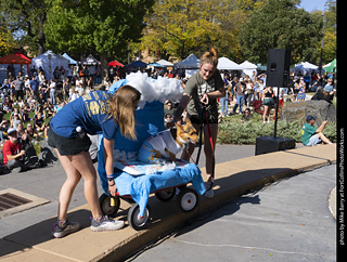 2024 Tour de Corgi - contest