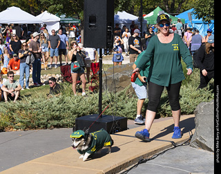 2024 Tour de Corgi - contest