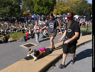 2024 Tour de Corgi - contest