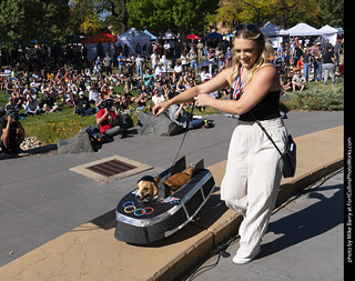 2024 Tour de Corgi - contest