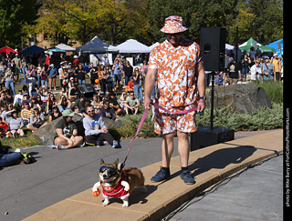 2024 Tour de Corgi - contest