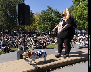 2024 Tour de Corgi - contest