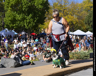 2024 Tour de Corgi - contest