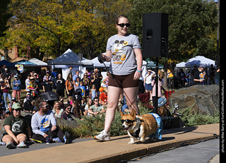 2024 Tour de Corgi - contest