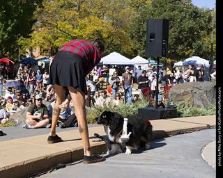 2024 Tour de Corgi - contest