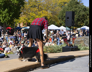 2024 Tour de Corgi - contest