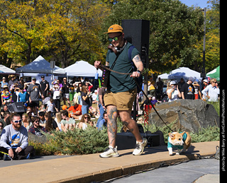 2024 Tour de Corgi - contest