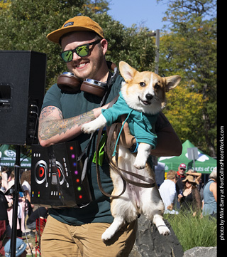 2024 Tour de Corgi - contest