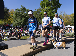 2024 Tour de Corgi - contest