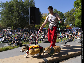 2024 Tour de Corgi - contest