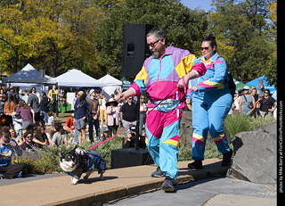 2024 Tour de Corgi - contest